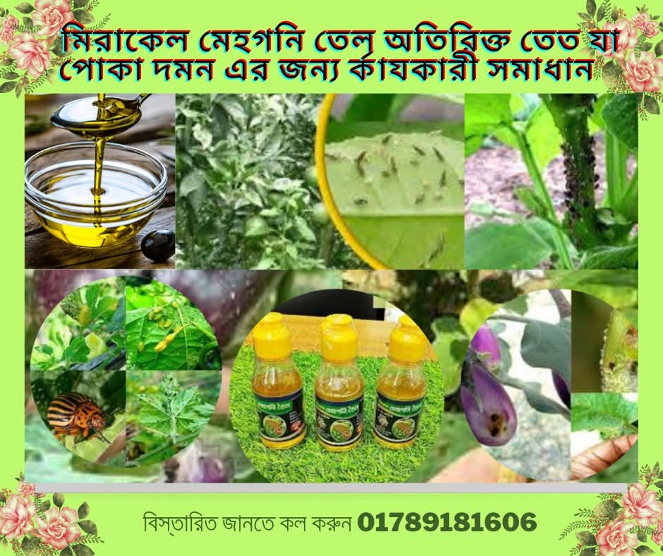 মেহগনি তেল জৈব বালাইনাশক (Mehogoni oill) 100 ML