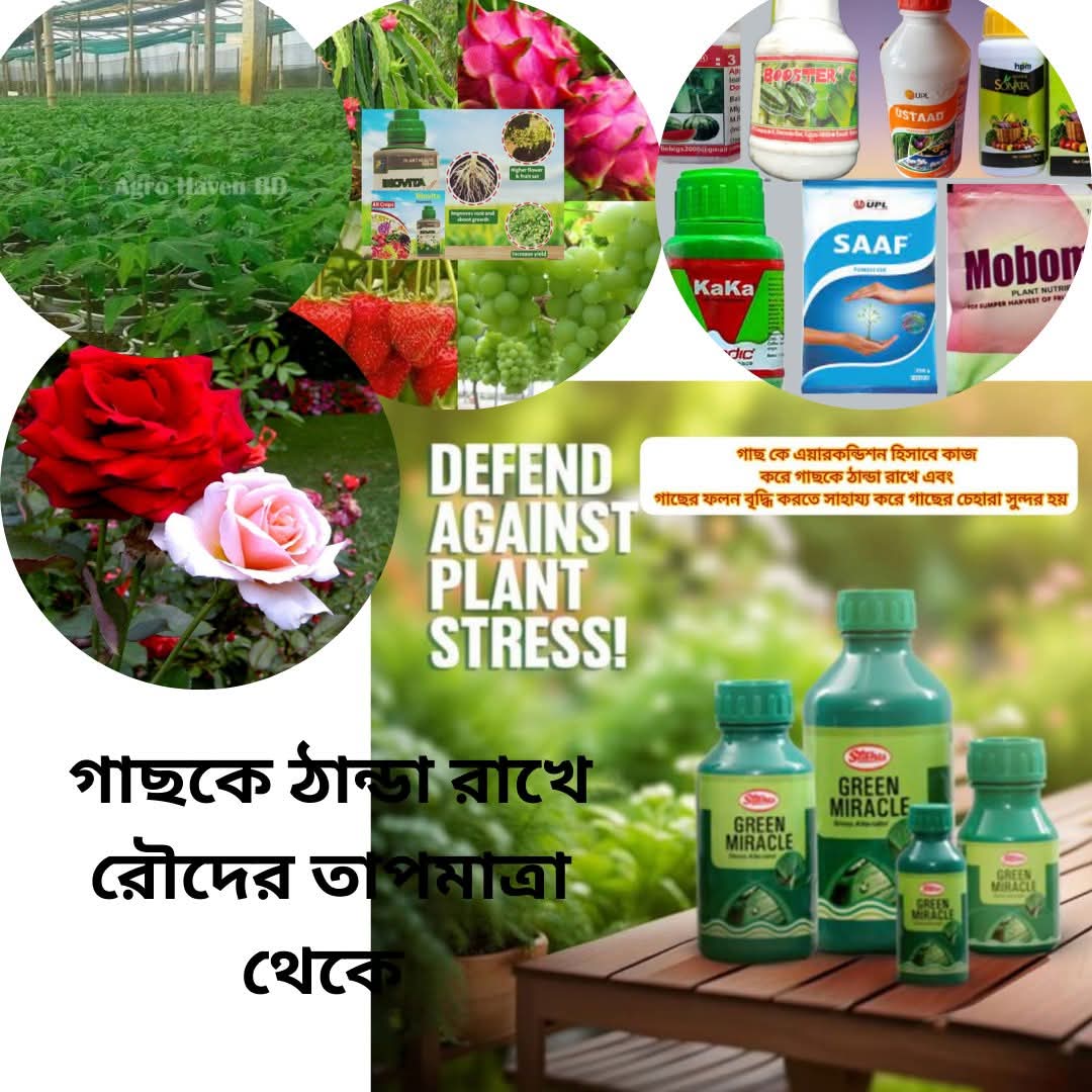 Green miracle গ্রিন মিরাকেল