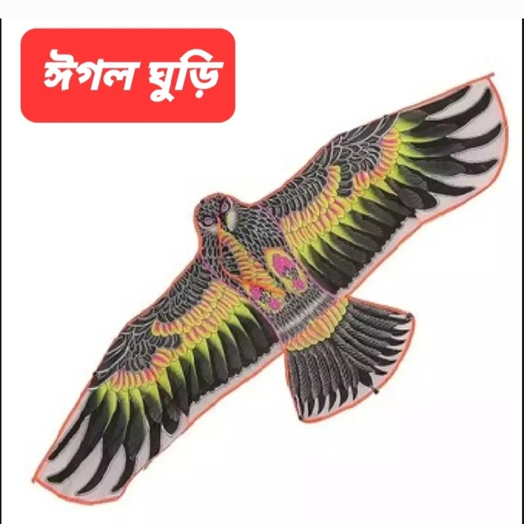 Eagle Kite/eagle ghuri Premium Quality Long Lasting Multicolor Small Size 48″/4 Feet-1 Piece Toys