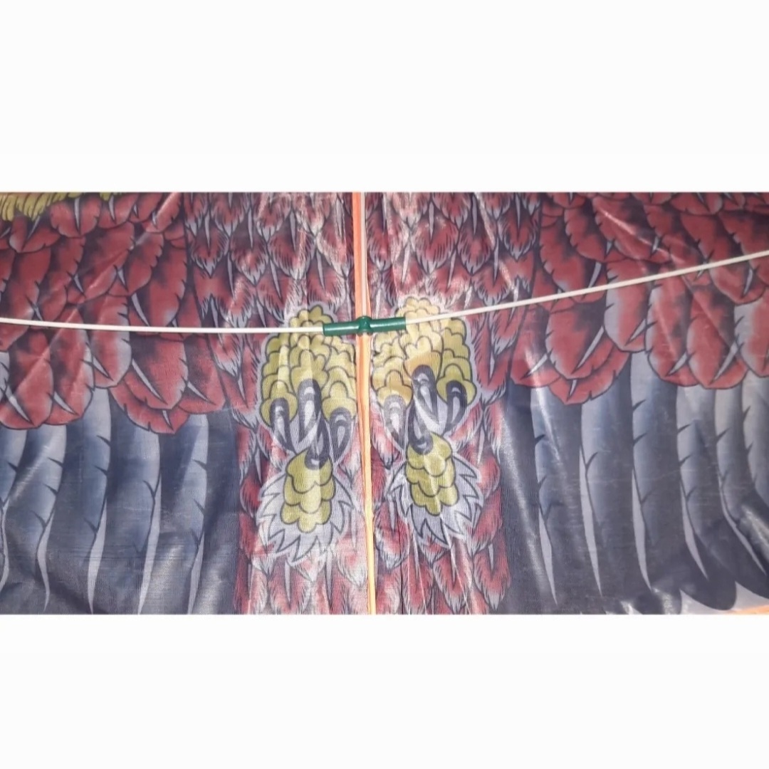 Eagle Kite/eagle ghuri Premium Quality Long Lasting Multicolor Small Size 48″/4 Feet-1 Piece Toys