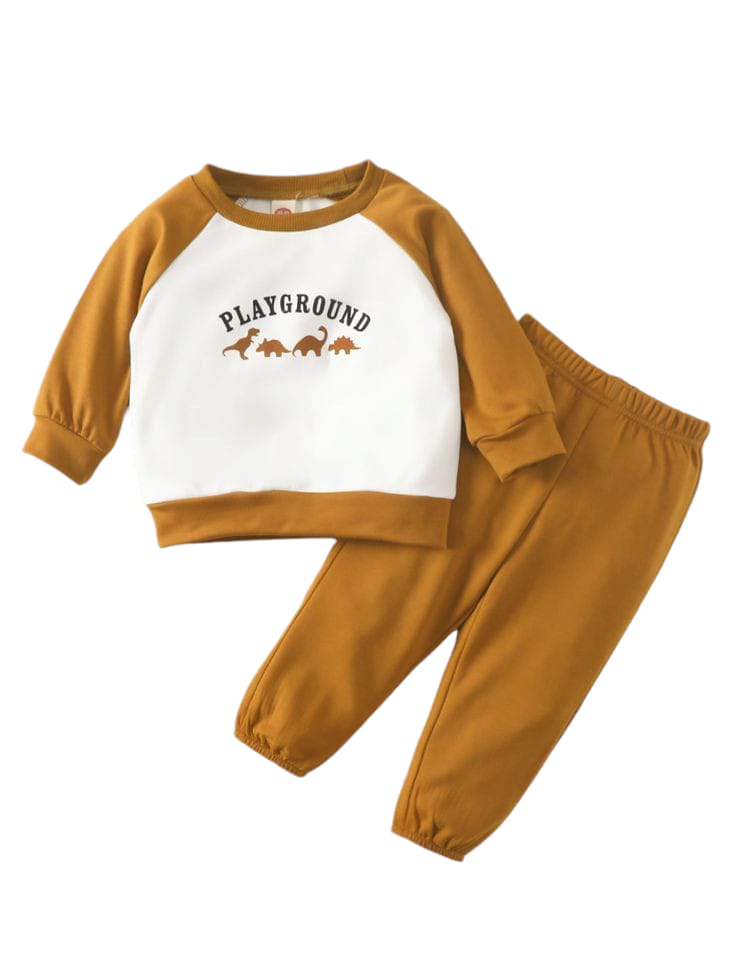 Baby Sweatshirt and Full Pant Set