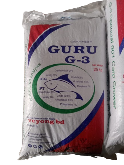 GURU G-3 (CG)