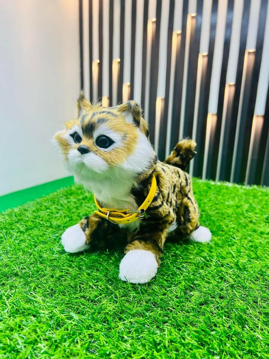 Sensor System China Cat Doll Code : 3522