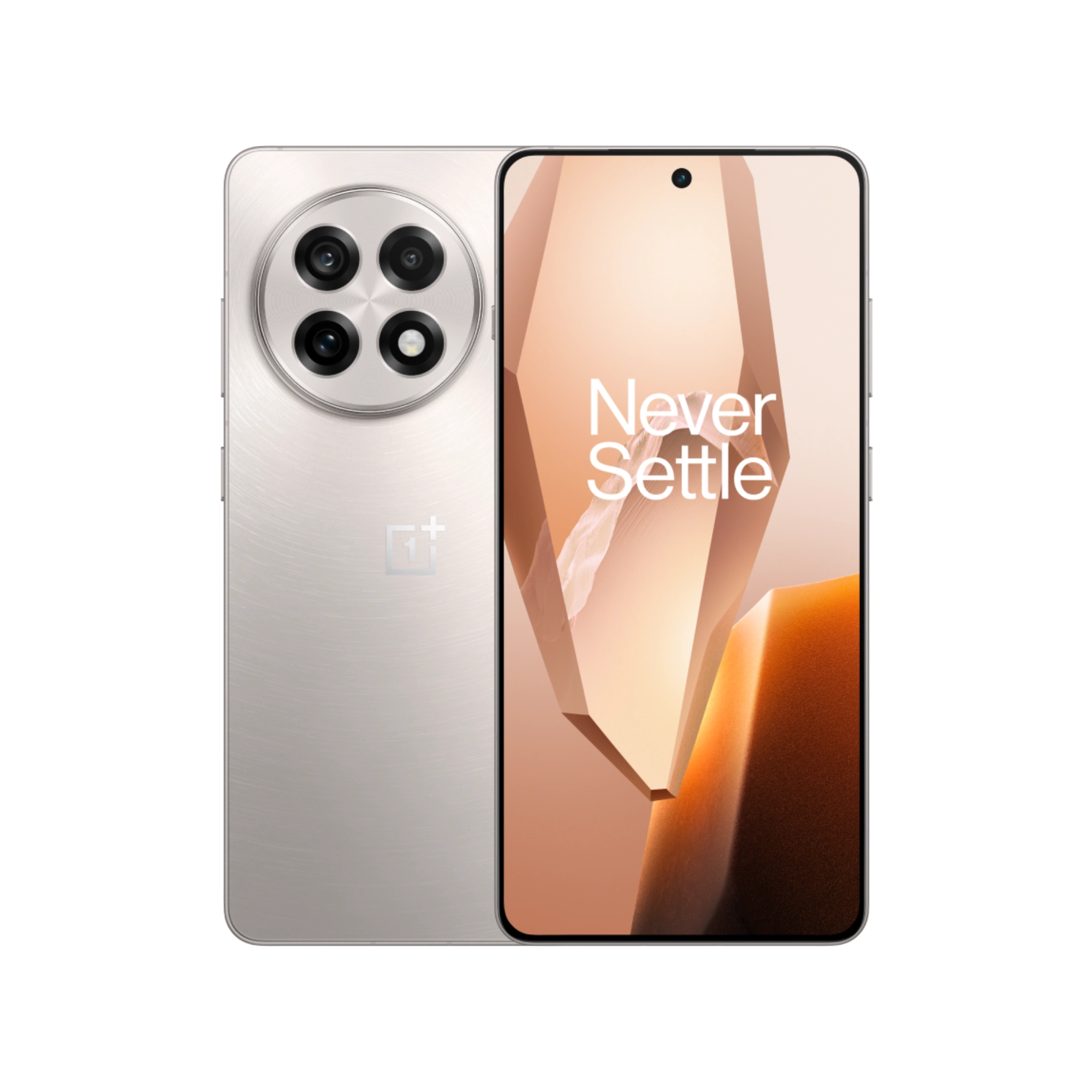 OnePlus 13R OnePlus