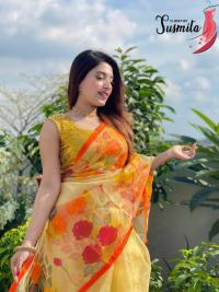 হাফসিল্ক শাড়ীতে হ্যান্ডপ্রিন্ট তুলির কাজ করা