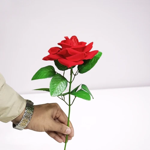 valentine's day Gift Rose Flower