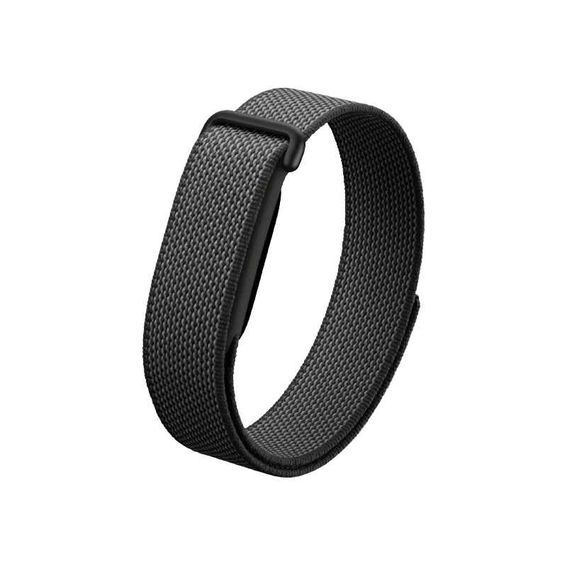 Google Fitbit Air