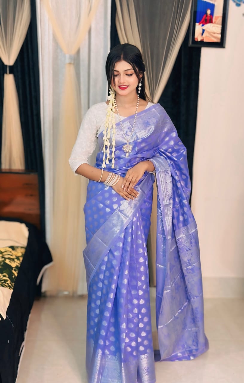 Soft silk katan sharee